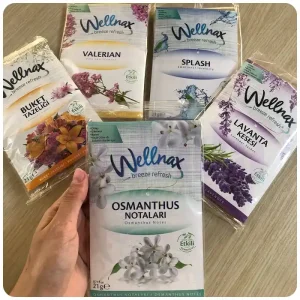 قیمت خرید و فروش خوشبو کننده آویزی کمد لباس و رختخواب ولناکس Wellnax رایحه گل 21 گرم